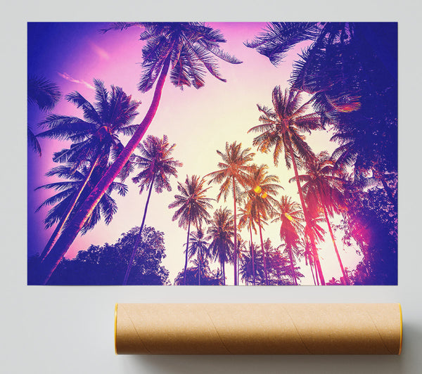 Palm Tree Glow Poster