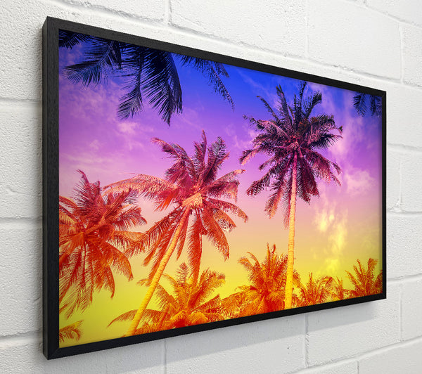 Palm Tree Paradise
