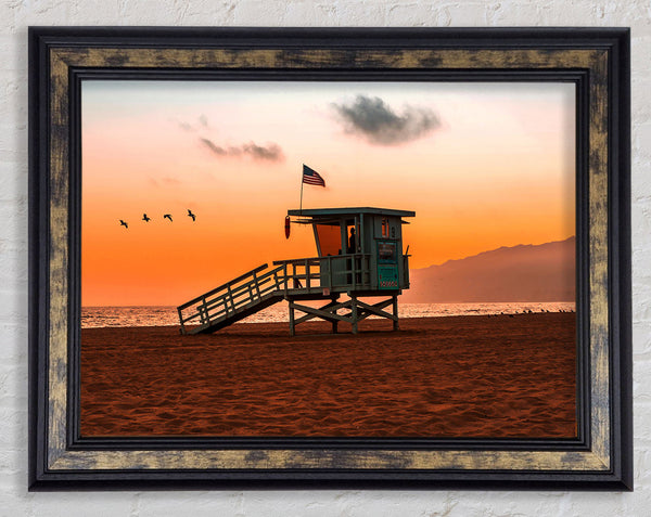 Birds Of Paradise Framed Print