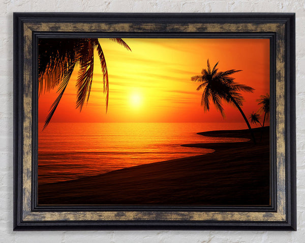 Sun Glow Framed Print