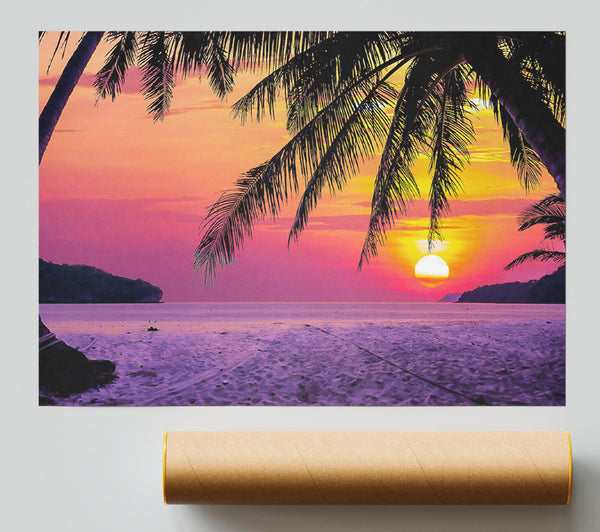 Between The Palm Trees Poster