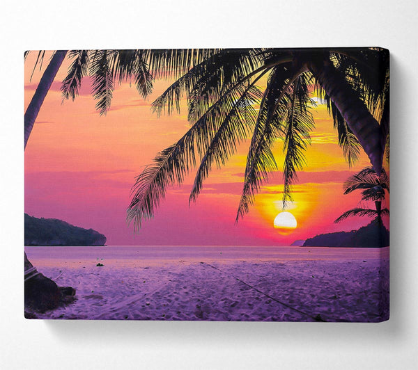 A Canvas Print of Between The Palm Trees Canvas Print