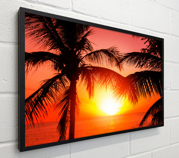 Sun Between The Palm Trees