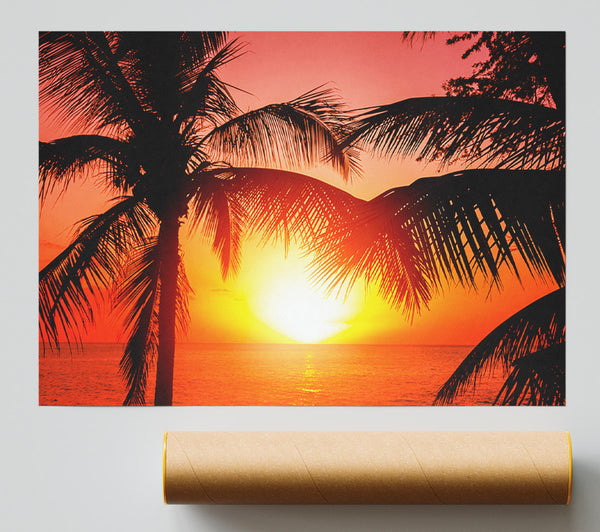 Sun Between The Palm Trees Giclee Print