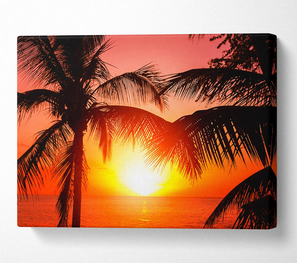  A Canvas Print of Sun Between The Palm Trees Canvas Art