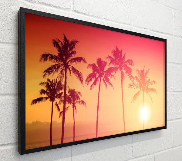 Palm Tree Haze