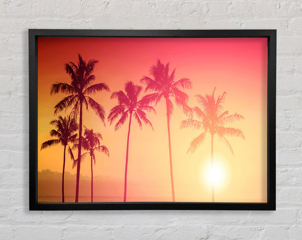 Palm Tree Haze Framed Print