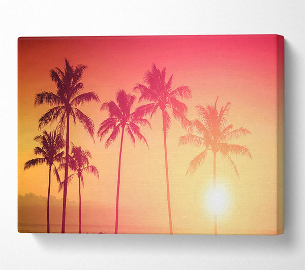  A Canvas Print of Palm Tree Haze Canvas Art