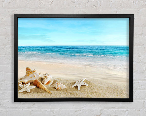 Ocean Shells Framed Print