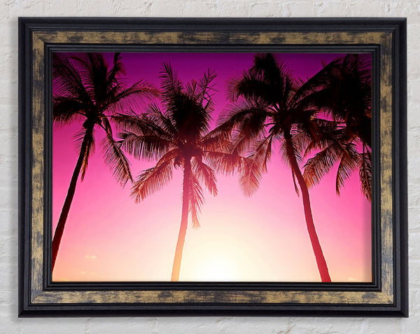 Los Angeles Sunset Palms Framed Print