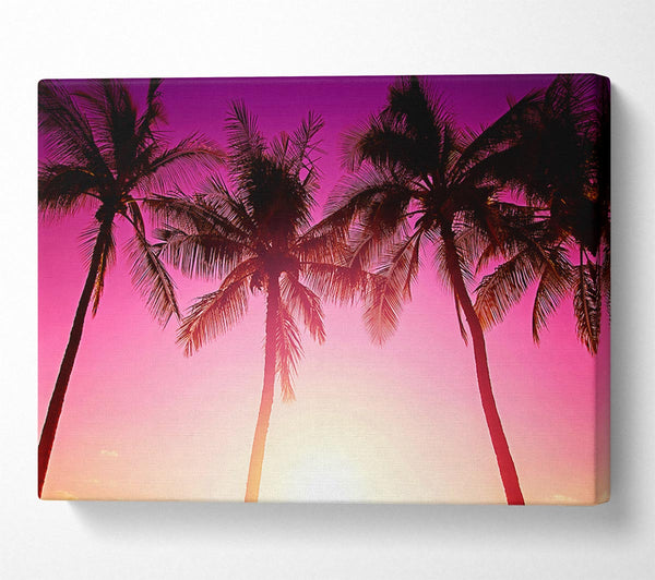  A Canvas Print of Los Angeles Sunset Palms Canvas Wall Art