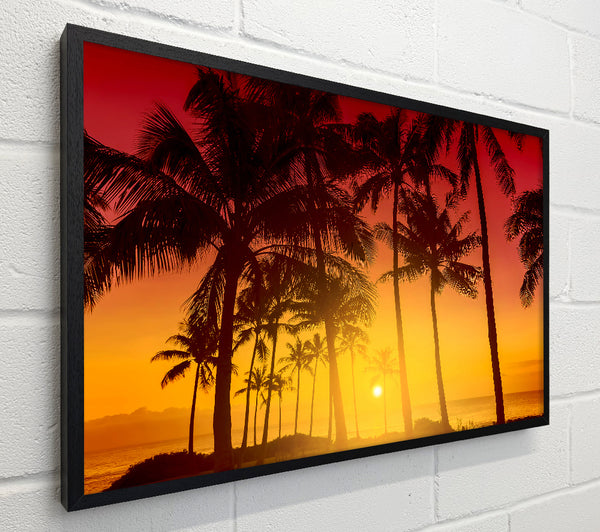Perfect Palm Tree Delight