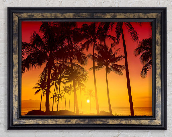 Perfect Palm Tree Delight Framed Print