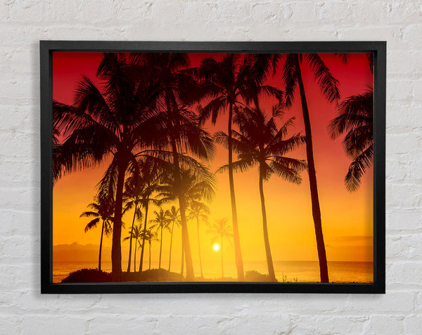 Perfect Palm Tree Delight Framed Print