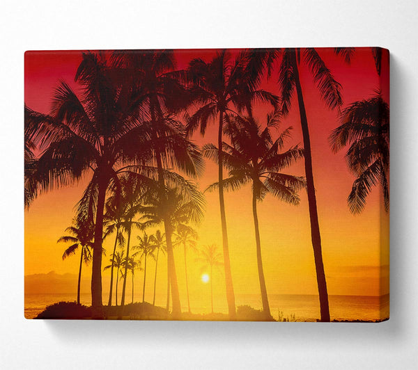  A Canvas Print of Perfect Palm Tree Delight Canvas Wall Art