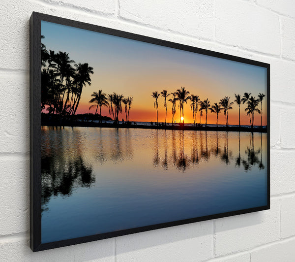 Reflections Of The Palm Trees