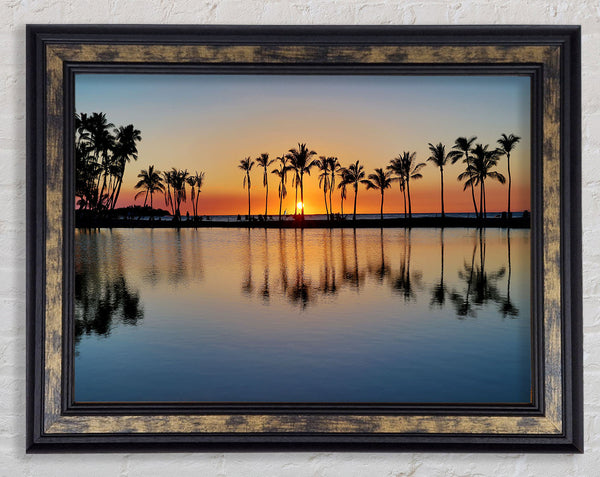 Reflections Of The Palm Trees Framed Print