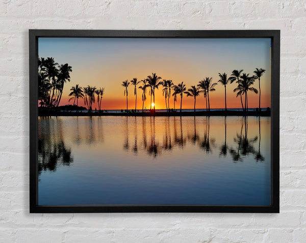 Reflections Of The Palm Trees Framed Print
