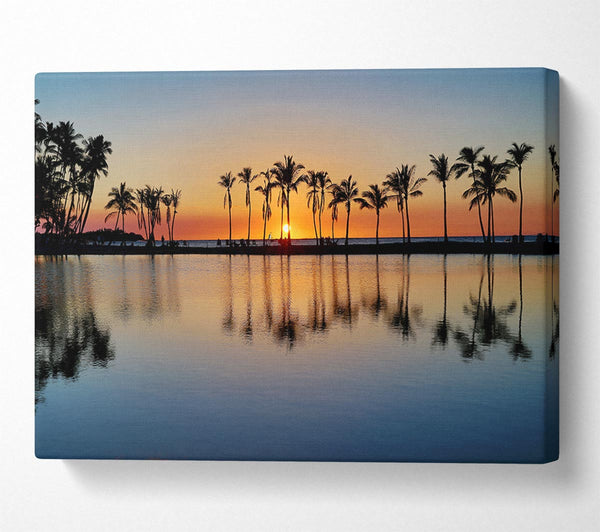  A Canvas Print of Reflections Of The Palm Trees Canvas Wall Art