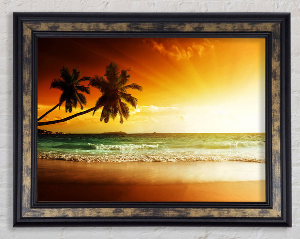 Ocean Sun Beam Palms Framed Print