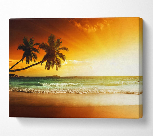  A Canvas Print of Ocean Sun Beam Palms Canvas Print
