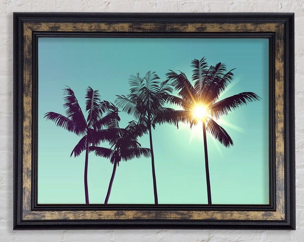 Sun Through The Palm Tree Skies Framed Print