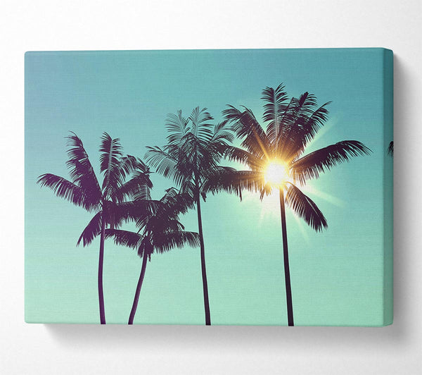  A Canvas Print of Sun Through The Palm Tree Skies Canvas Wall Art