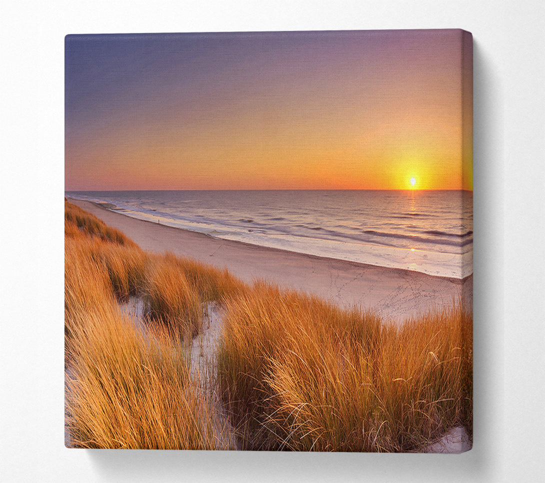  A Canvas Print of Sand Dune Sunset Canvas Art