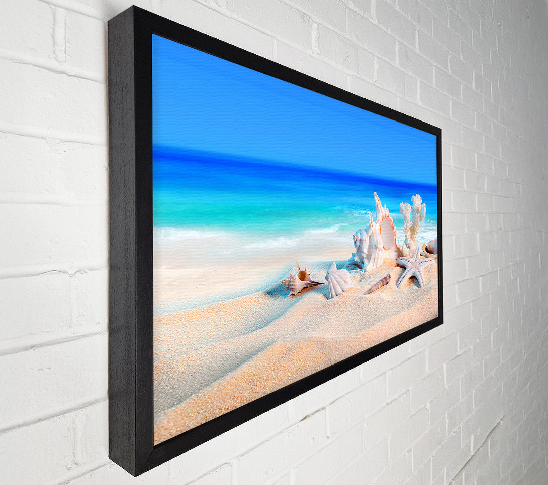  A Canvas Print of Perfect Ocean Shells Canvas Print