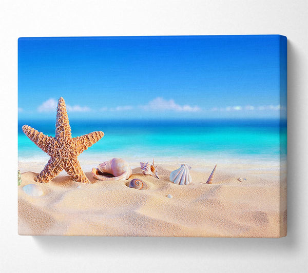  A Canvas Print of Shells In The Ocean Sands Canvas Art