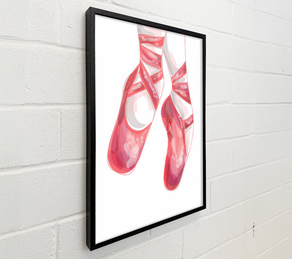 Ballerina Shoes 2