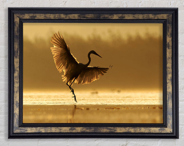 Dancing Sunset Heron Framed Print