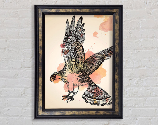 Indian Eagle Framed Print