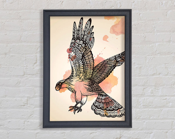 Indian Eagle Framed Print