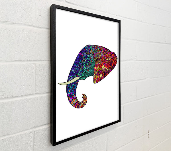 Indian Elephant Head