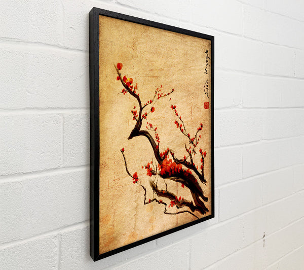 Chinese Cherry Blossom