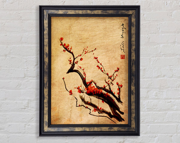 Chinese Cherry Blossom Framed Print