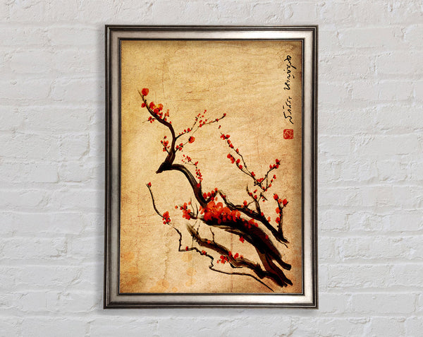 Chinese Cherry Blossom Framed Print