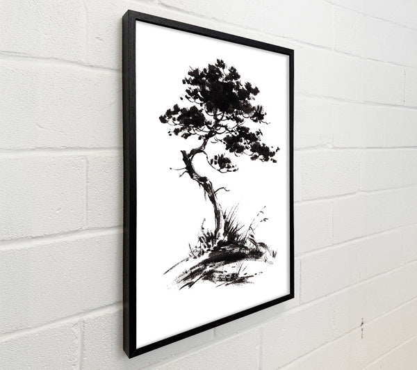 Japanese Bonsai Tree