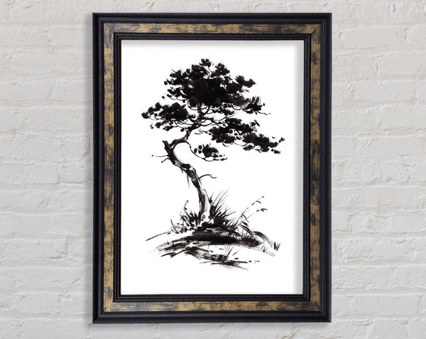 Japanese Bonsai Tree Framed Print