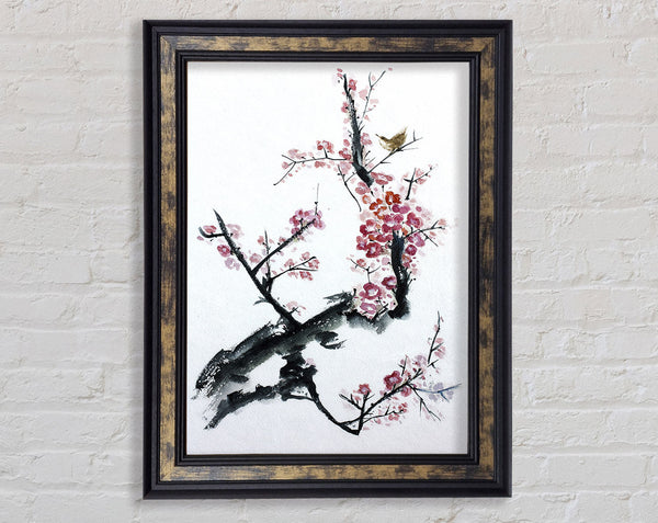 Chinese Cherry Blossom Pink Framed Print