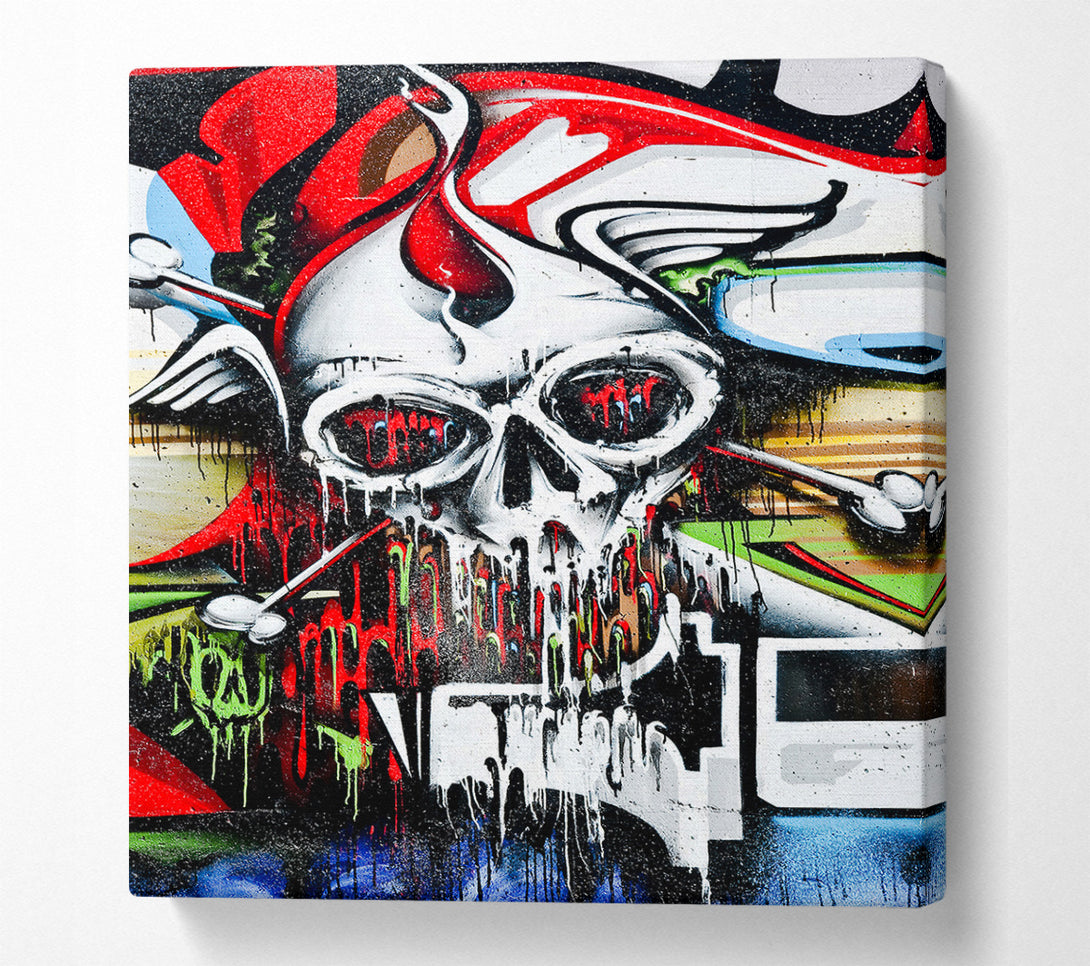  A Canvas Print of Melting Skull Canvas Print