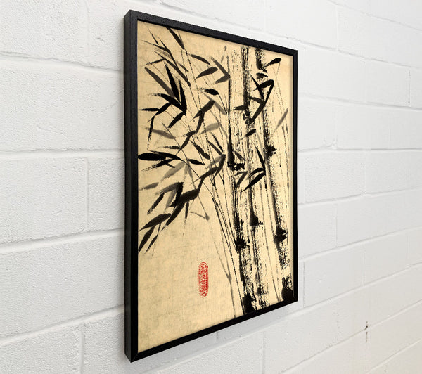 Chinese Bamboo 3