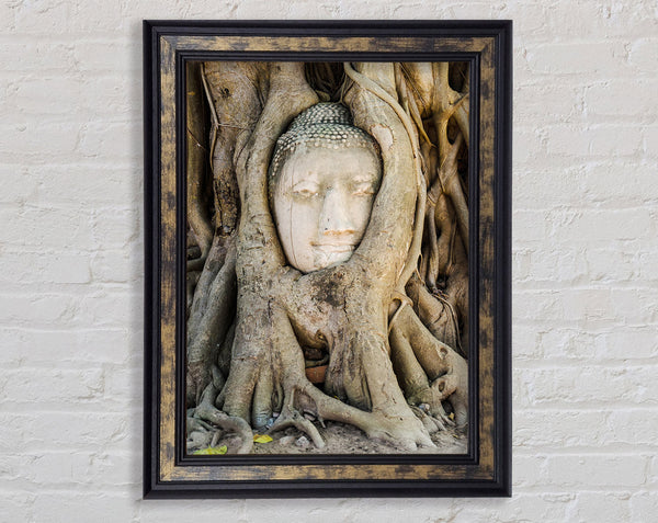 Buddha 30 Framed Print