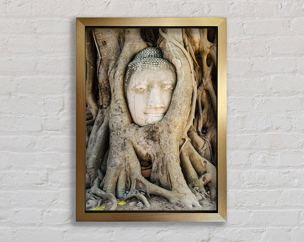 Buddha 30 Framed Print