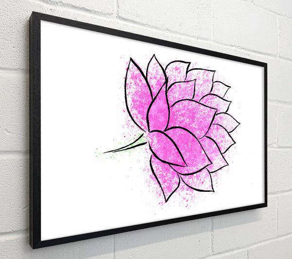 Pink Lotus Flower 1