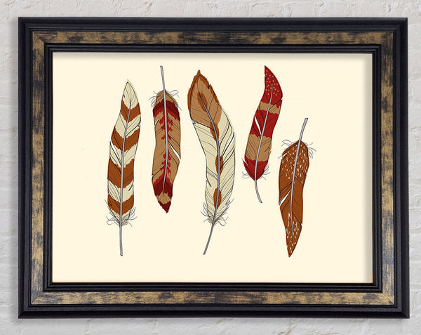 Red Indian Feathers Framed Print