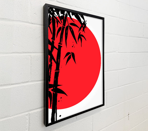 Red Sun Through The Japanese Bamboo