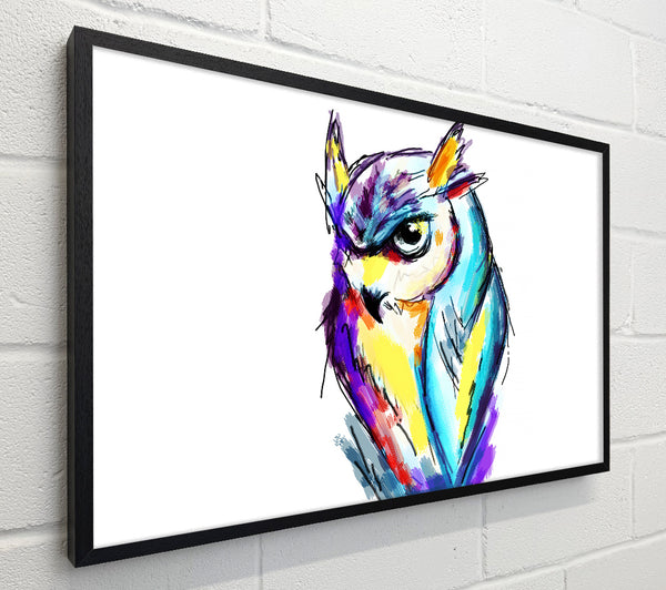 Rainbow Owl