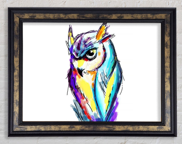 Rainbow Owl Framed Print